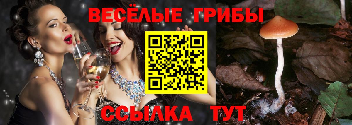 Галлюциногенные грибы прущие грибы  Вход с VPN  Озёрск 